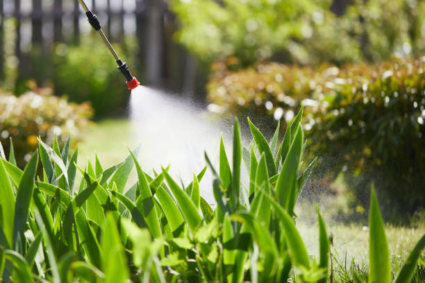 Tamper-Resistant Bait Stations for Rodents in Daingerfield